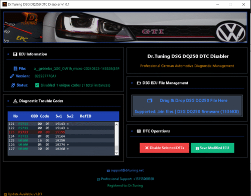 DSG DTC Decoder
